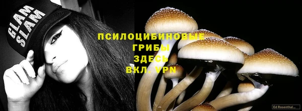 прущий лед Белоозёрский