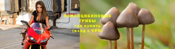 соль курить ск Белокуриха