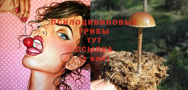 Альфа ПВП Беломорск
