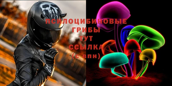 Альфа ПВП Беломорск
