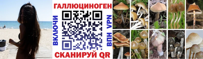 Псилоцибиновые грибы GOLDEN TEACHER Гороховец